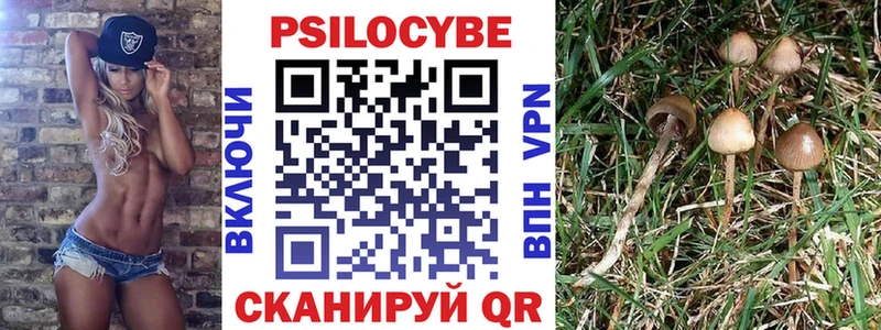 Галлюциногенные грибы Cubensis даркнет сайт Исилькуль